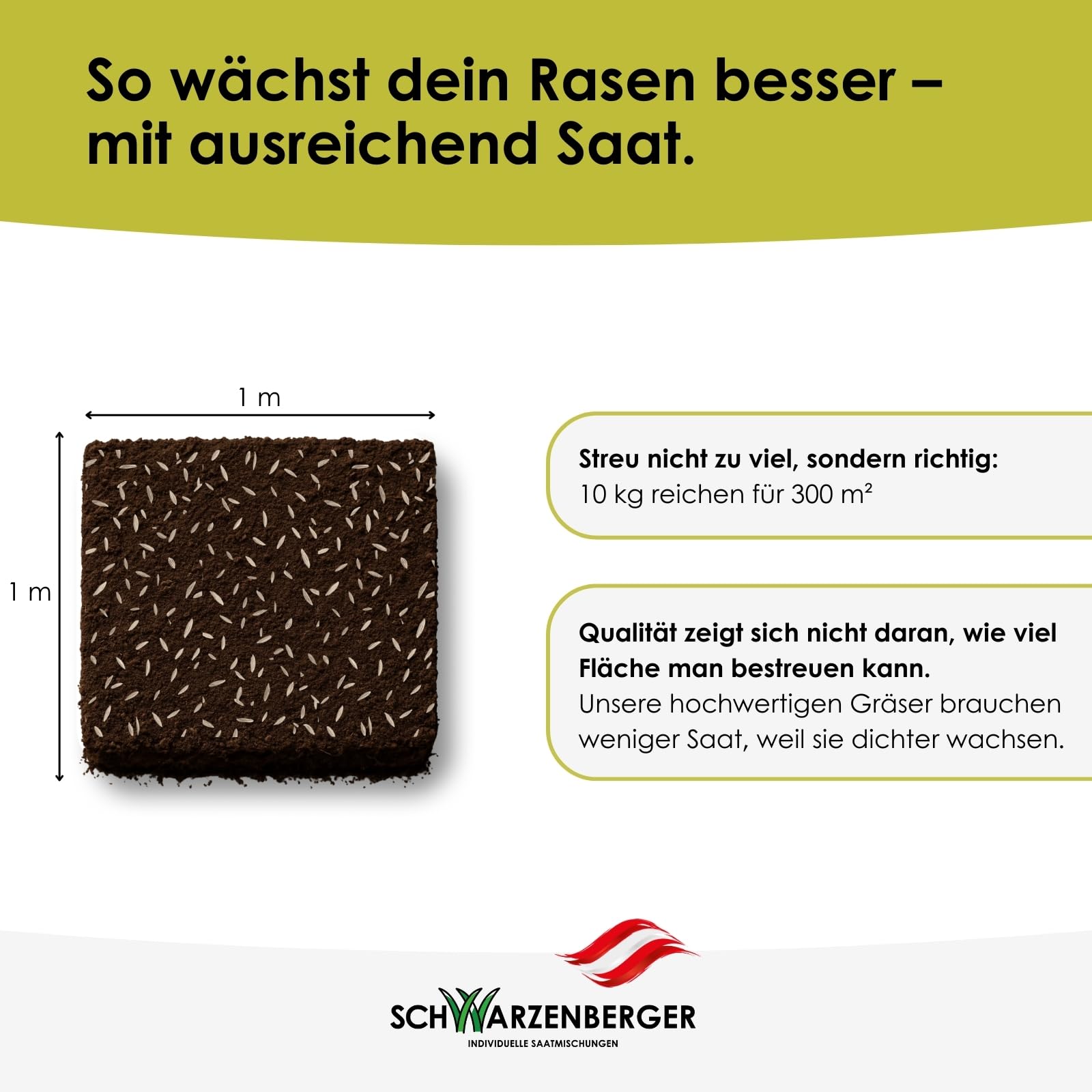 Samen Schwarzenberger I Nachsaat Rasensamen | 10 kg für 300 m² I schnellkeimend & pflegeleicht I für dichten, gleichmäßigen Rasen I Sport- & Spielrasen I verdrängt Moos & Unkraut