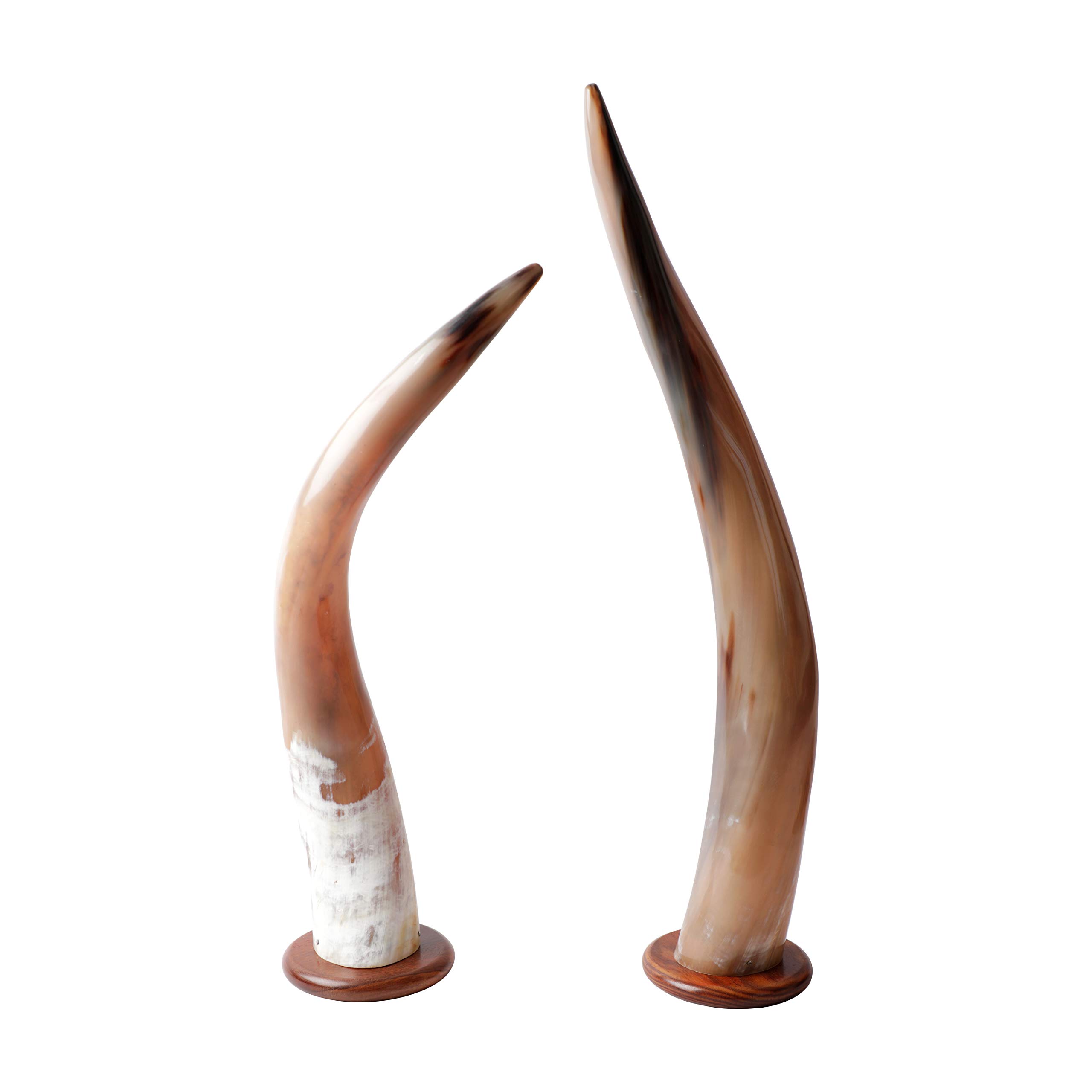 VIKING VIBES ; by LOOP Horn Home Decor Item with Real Horns Showpieces for Decoration (2, Type 1)