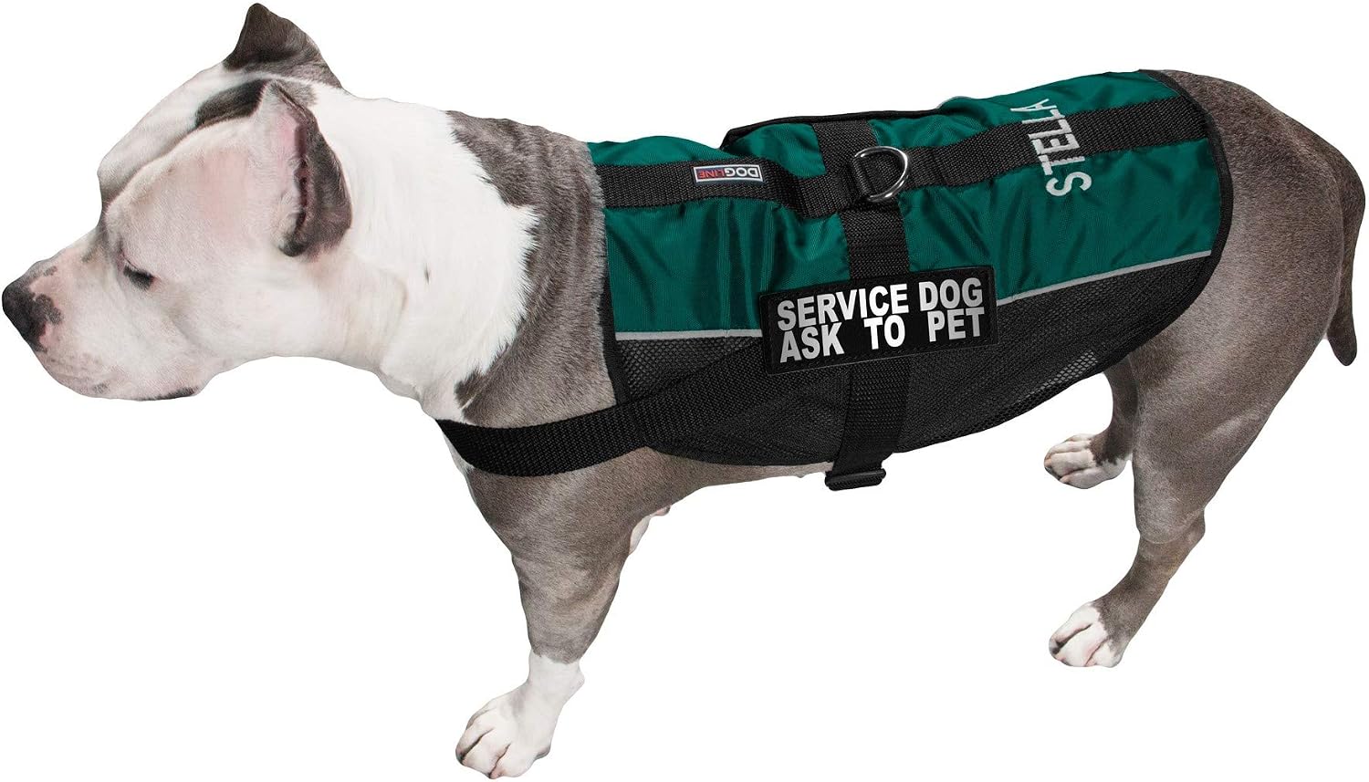 Dogline Custom Embroidered MaxAire Vest Service Dog Ask to Pet Removable Patch Adjustable Harness Reflective for Puppies Small Medium and Large Dogs 17 by 21 Inch Girth Teal
