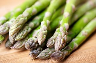 JustSeed - Vegetable - Asparagus - Connover's Colossal - 250 Seeds