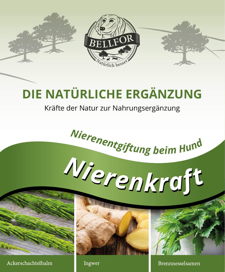 Bellfor Nierenkraft Pulver für Hunde 80g – Natürliches Ergänzungsfuttermittel zur Unterstützung der Nierenfunktion mit Ackerschachtelhalm