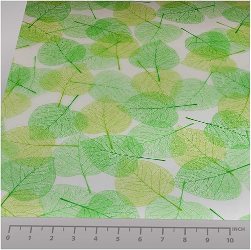 Miniatura 3 de BDF 4GLVW - Película decorativa para ventana, hojas verdes sobre blanco (36 pulgadas x 50 pies)