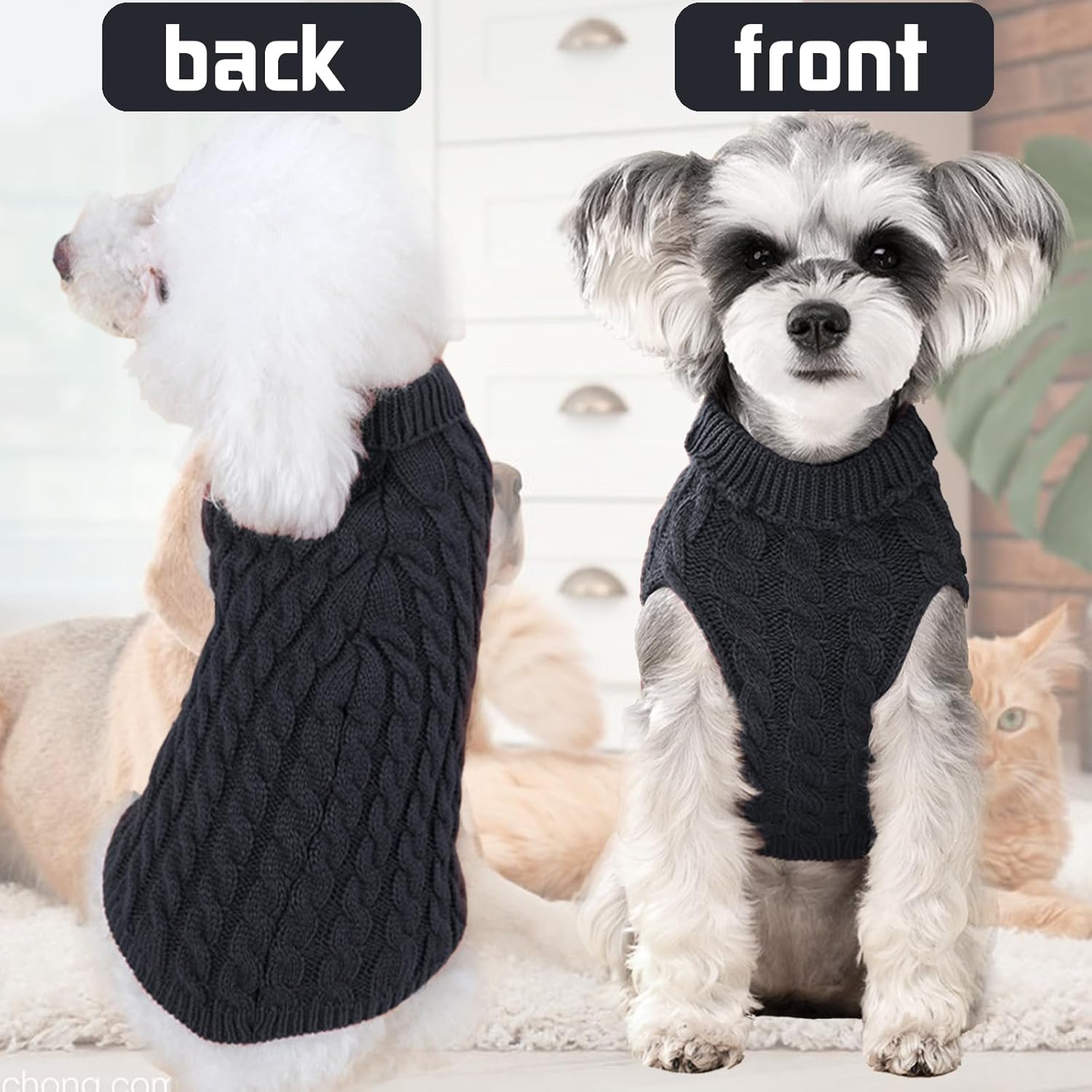 Kabát pre psa v akcii