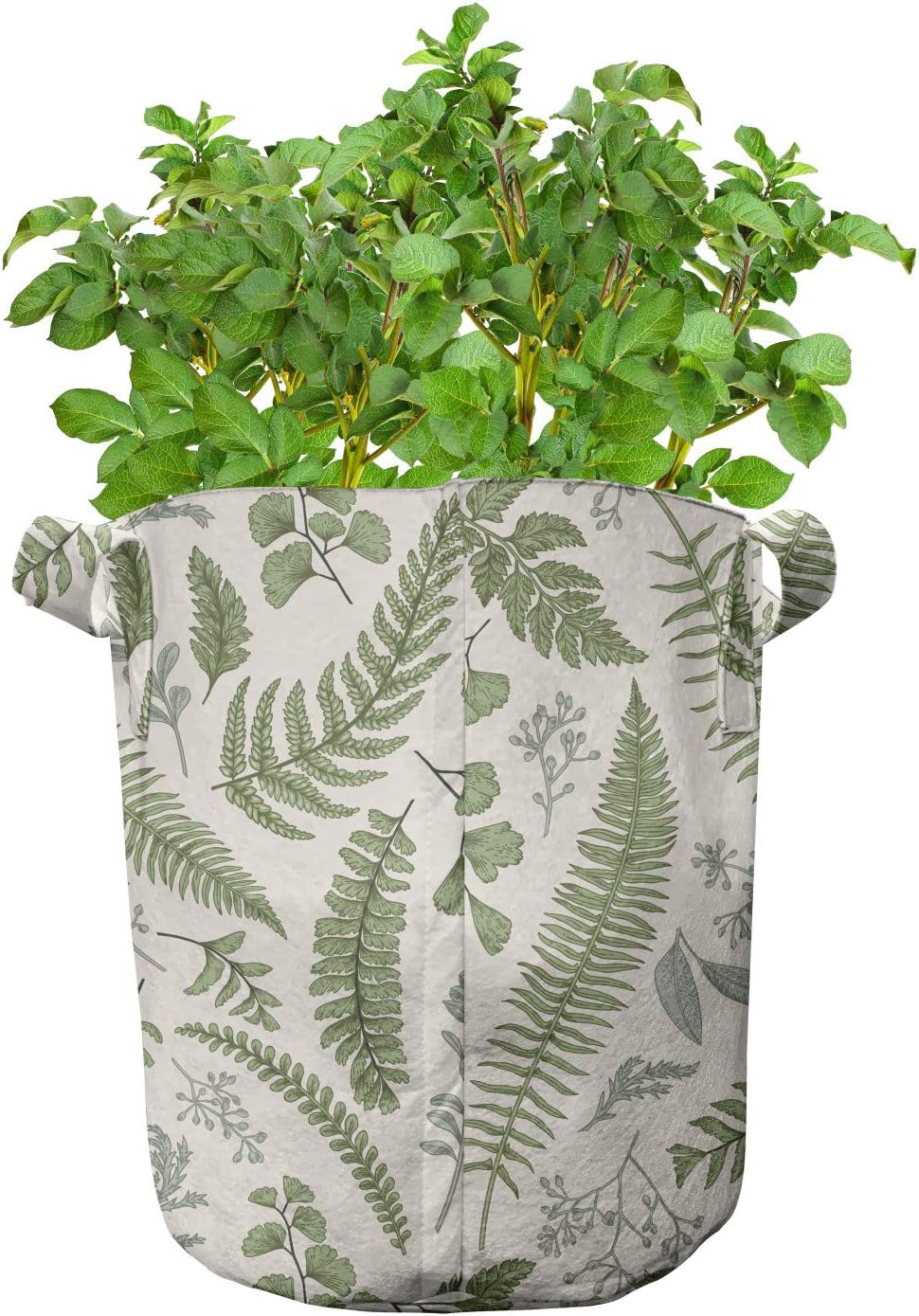 Lunarable Vintage Grow Bags 5-Pack, Floral Pattern with Leaves, Heavyduty Fabric Pots with Handles for Plants, Reseda Green Sage Green