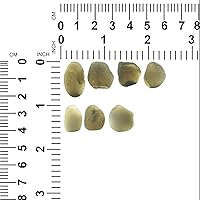 Vista 4 de Starborn Auténtica gema saffordita (10-15 quilates), Gema, Saffordite