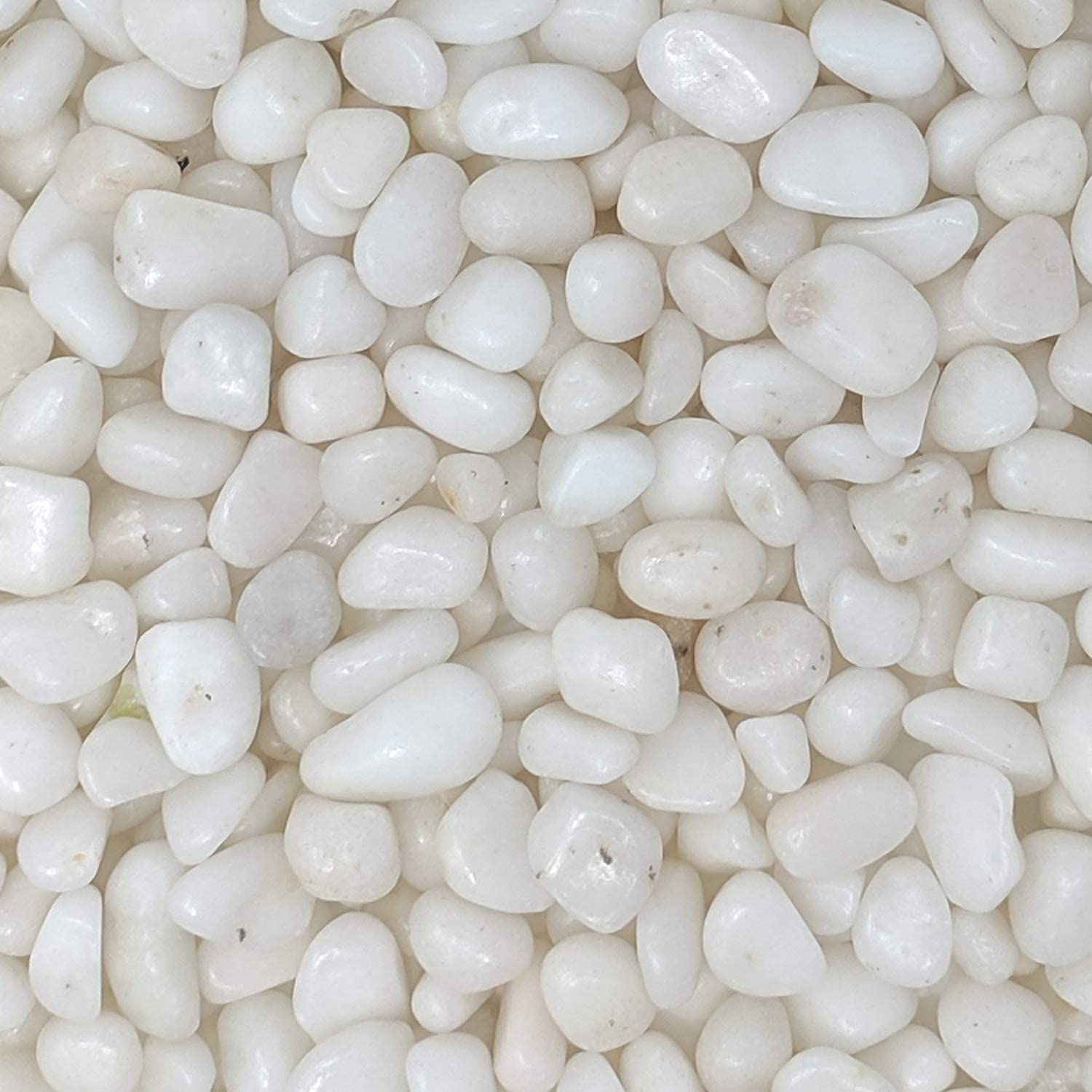 Pots & Plants White Pebbles Natural Stones for Garden Flowerpot Aquarium Decorative (5kg) (B0B7BZ32C7) Amazon Price History, Amazon Price Tracker