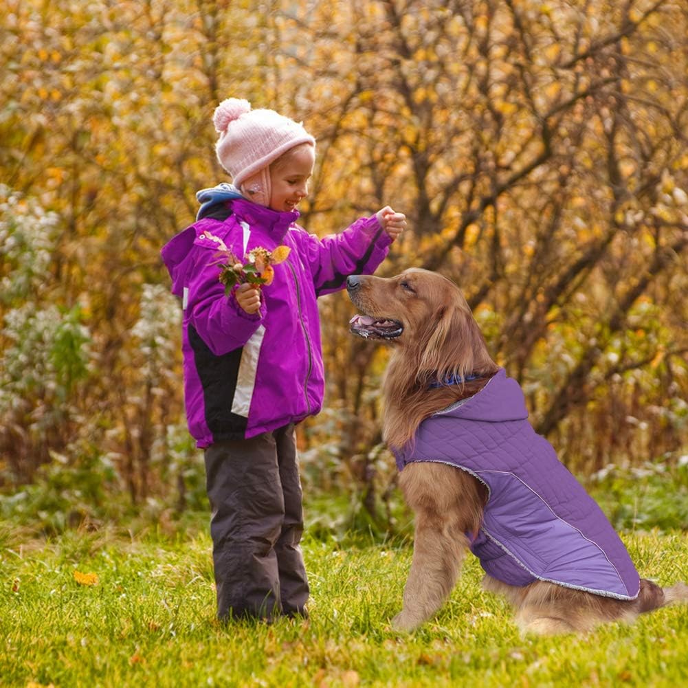 Chaqueta Impermeable Para Perro Con Arnés - Invierno, Reflectante, LED, Tallas S-XXXL