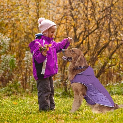 Miniatura 6 de EMUST - Abrigo de invierno para perro con gorro desmontable y felpa para el clima frío, ropa para perros pequeños, medianos y grandes