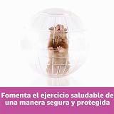 Ver la foto 2