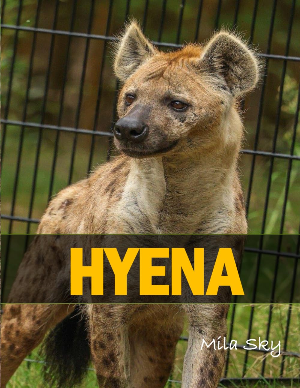 HYENA: A Coffee Table Photo Book for Animal Lovers