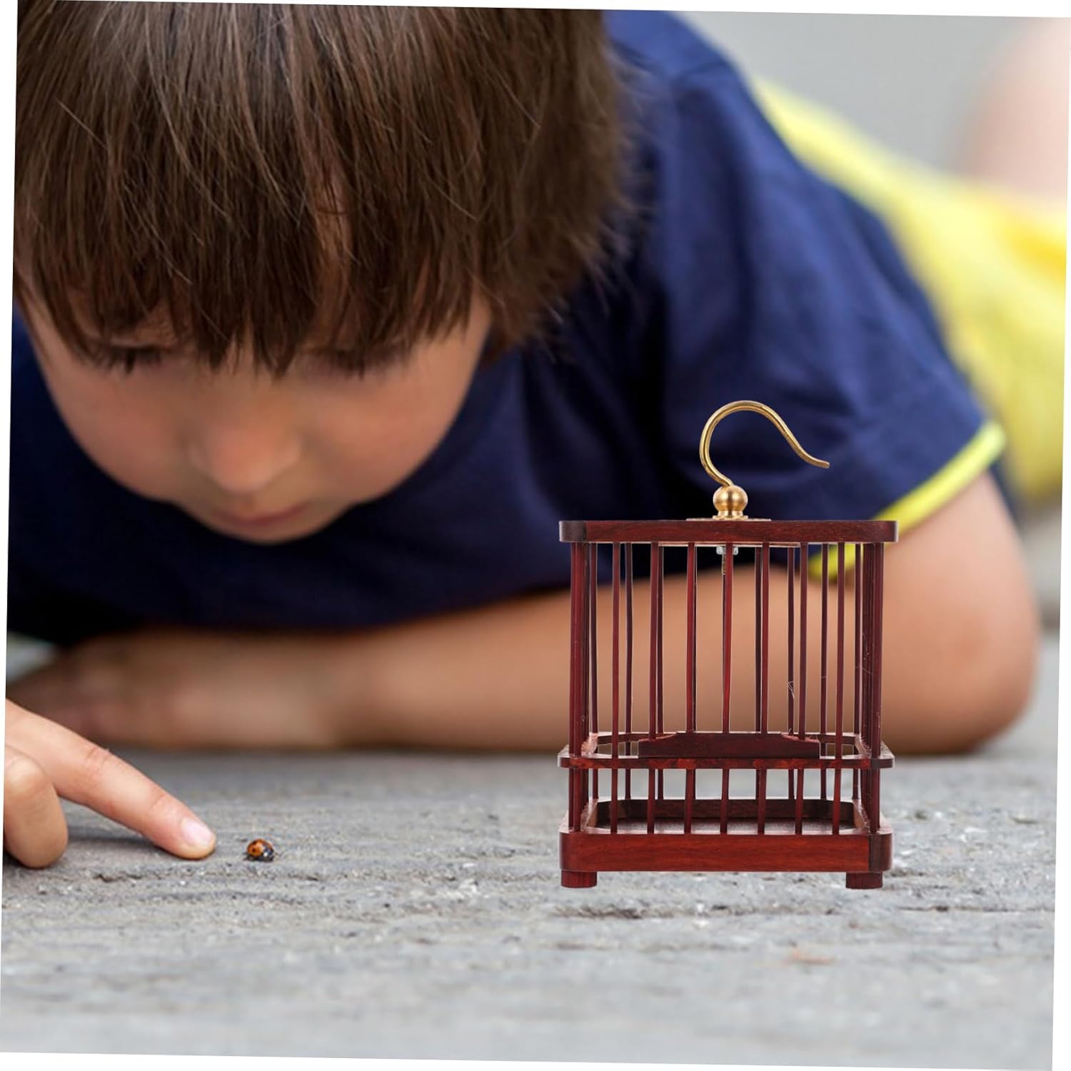 LIOOBO Insect Cage Cute Container for Smooth Finish Lightweight Design for Observing Nature for Insect Lovers and Educational Use