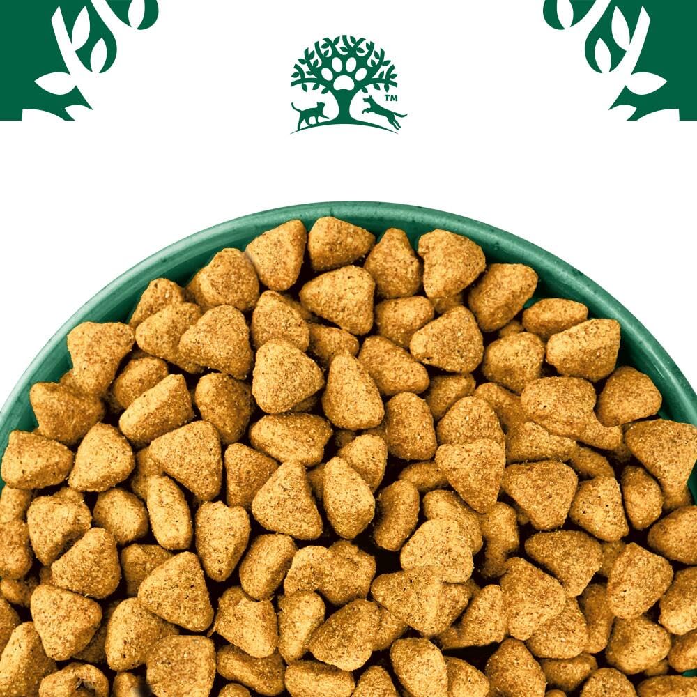 James WELLBELOVED 10kg Hund Trockenfutter ohne Getreide, Truthahn & Gemüse