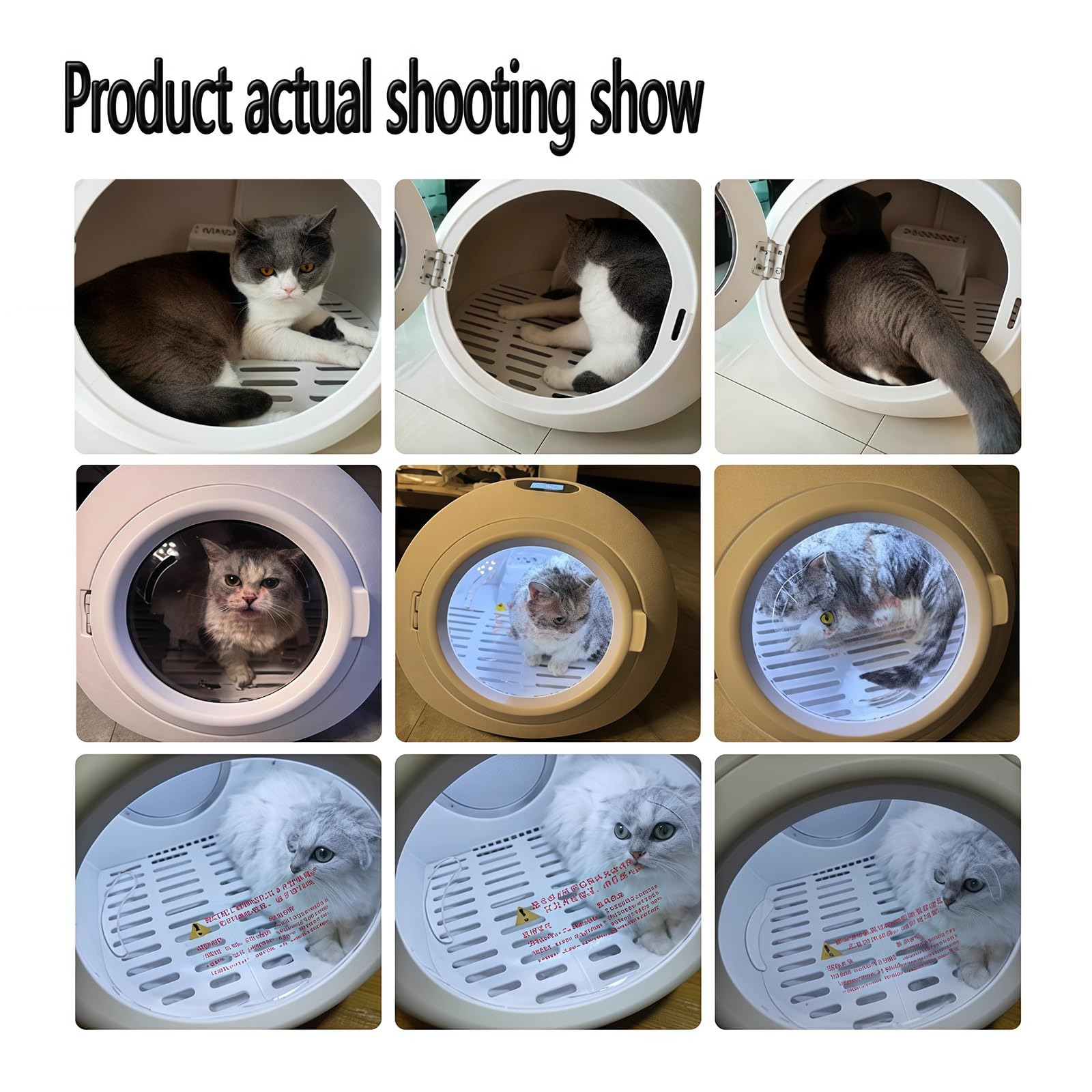Box Asciugacapelli Rotondo per Cani E Gatti, 800W velocità Regolabile, Macchina Asciugatrice per Toelettatura, 55L