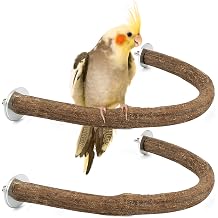 Rypet 2PCS Pack Natural Wood Bird Perches for Cage, U-Shaped Parrot Perch L | 2 Pack Natural Wood Perches, Wing Nut Mount, U-Shaped Cage Perch, Easy Rinse, Parakeets Conures Cockatiels
