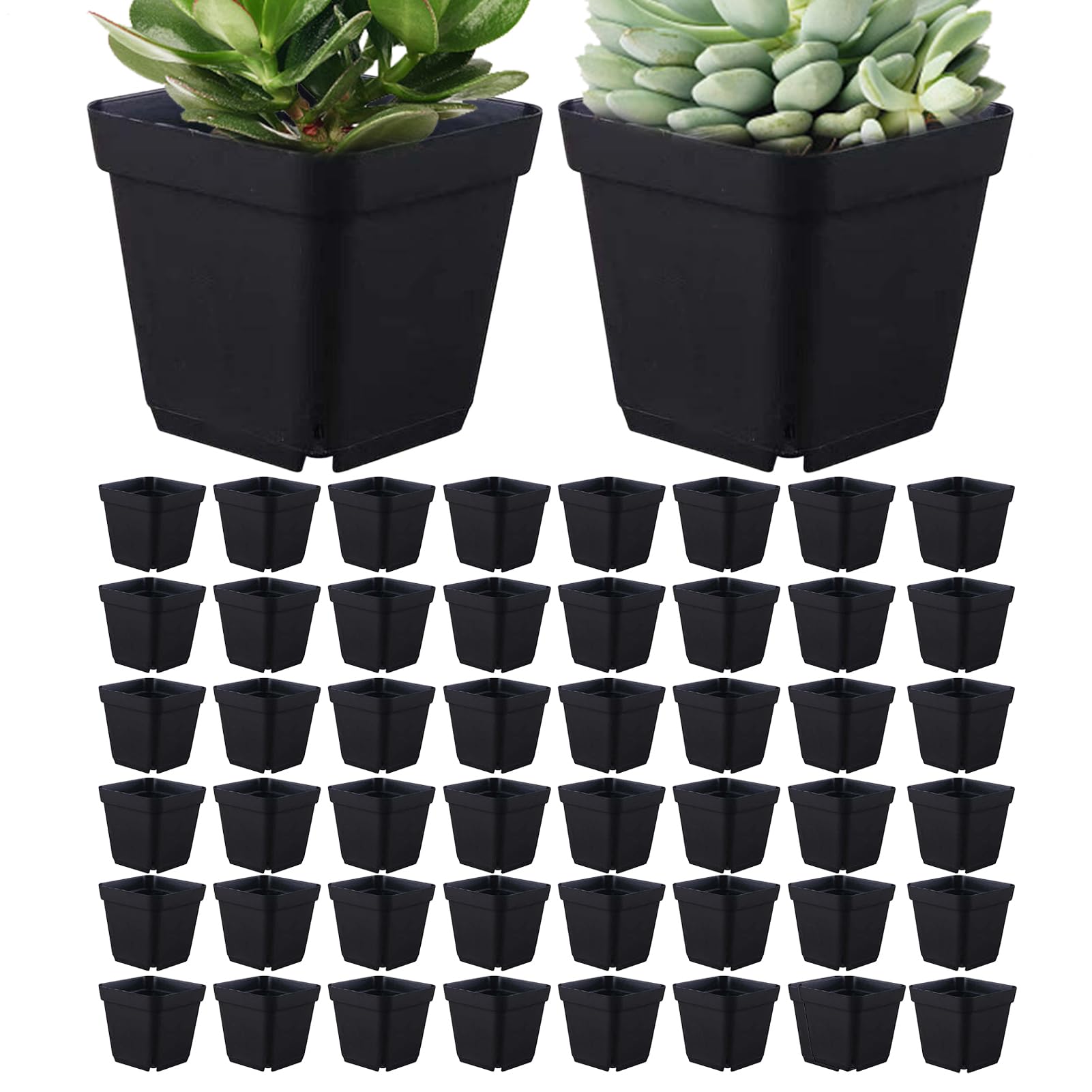 Pots de démarrage pour jardin et pots de croissance carrés à légumes