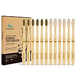 Isshah Biodegradable Eco-Friendly Natural Bamboo Charcoal Toothbrushes, FSC Certified and PETA Approved - 12 Count