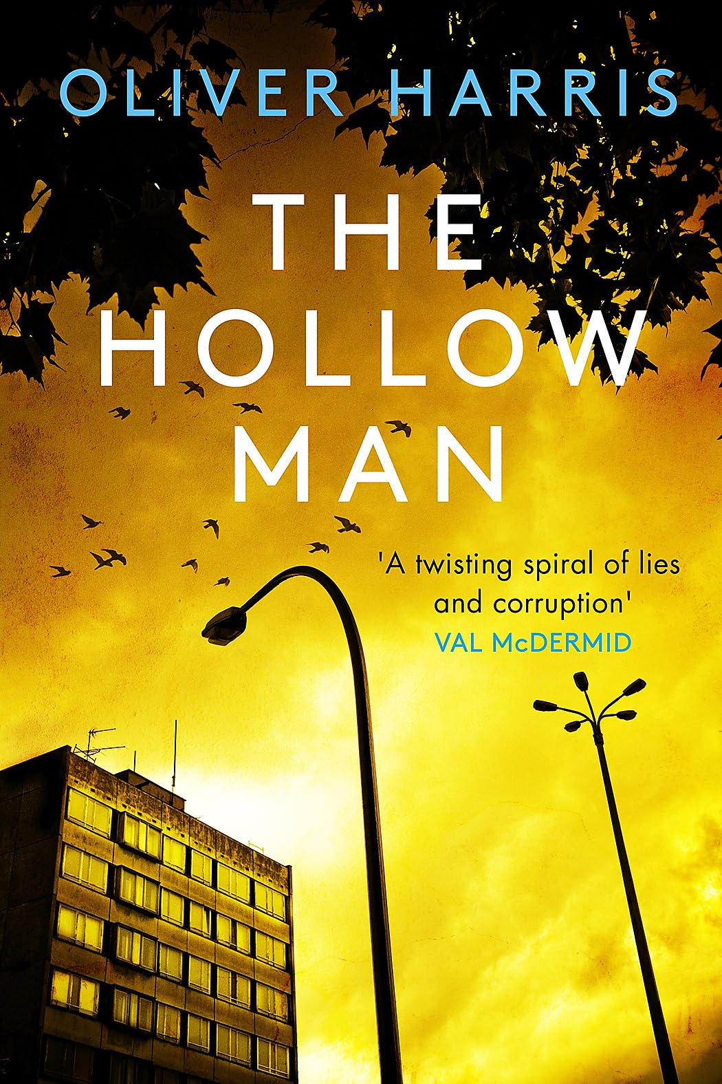 The Hollow Man A Nick Belsey Novel by Oliver Harris PAPERBACK 9780349143798