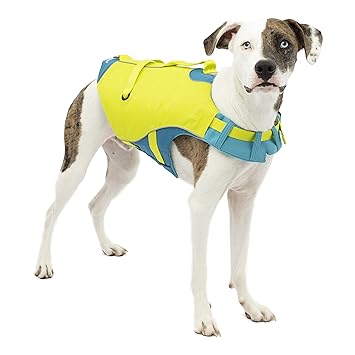 Kurgo Surf n?�� Turf Dog Life Jacket, Dog Life Vest for Swimming, Floatation Vests for Dogs, Dog PFD, Reflective, Adjustable, Blue/Green, Small