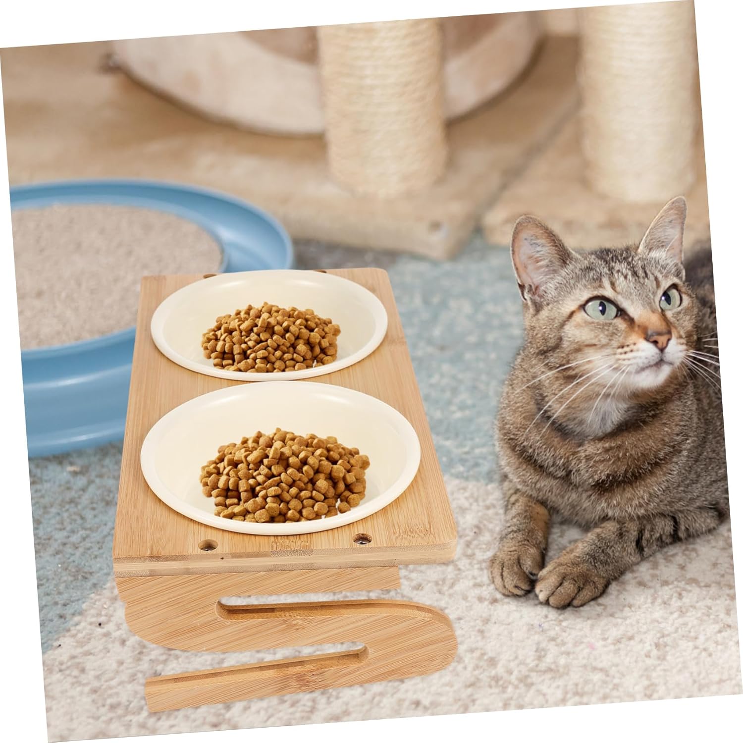 Ceramic Elevated Cat Bowl with Wood Rack Ergonomic Design for Neck Protection Reusable Indoor Cat Food and Water Feeding Bowl