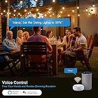 Vista 3 de New One Enchufe de atenuación inteligente para exteriores, IP65, impermeable, WiFi, regulable, inteligente, compatible con Google Assistant, Alexa
