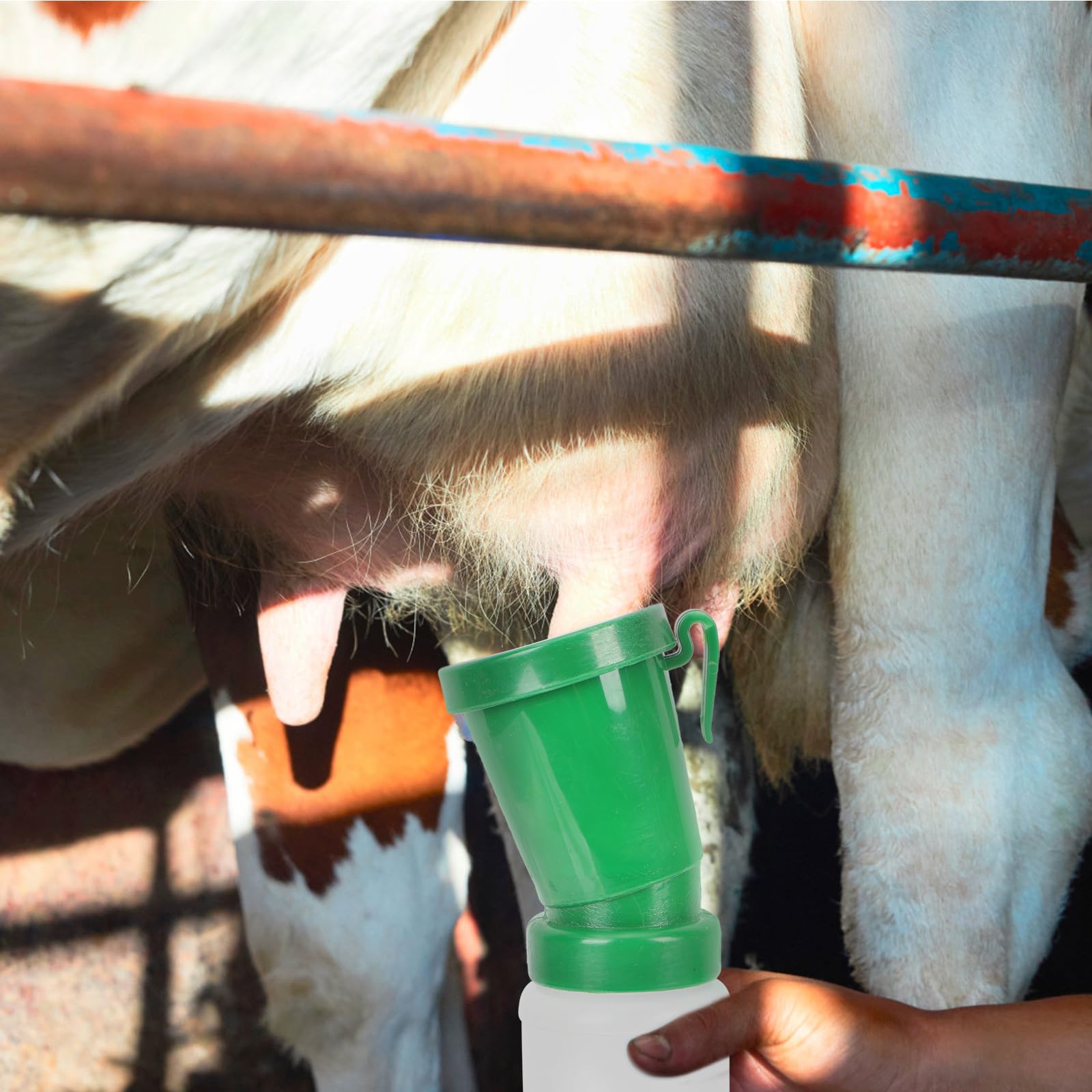 Tasses de Bain Médicamenteuses sans Refusion pour Vaches en Plastique Léger et Facile à Transporter Double Chambre pour Élevage