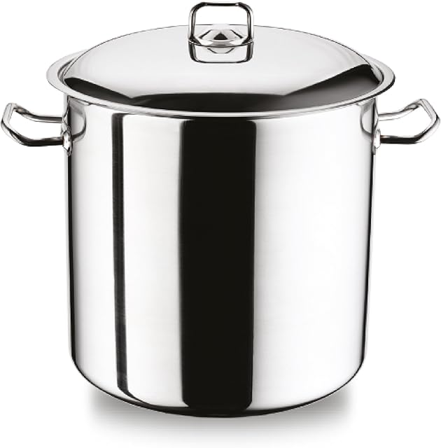 Arian Gastro Large Deep Stainless Steel Induction Stock Pot Casserole Stockpot (21 Litre)