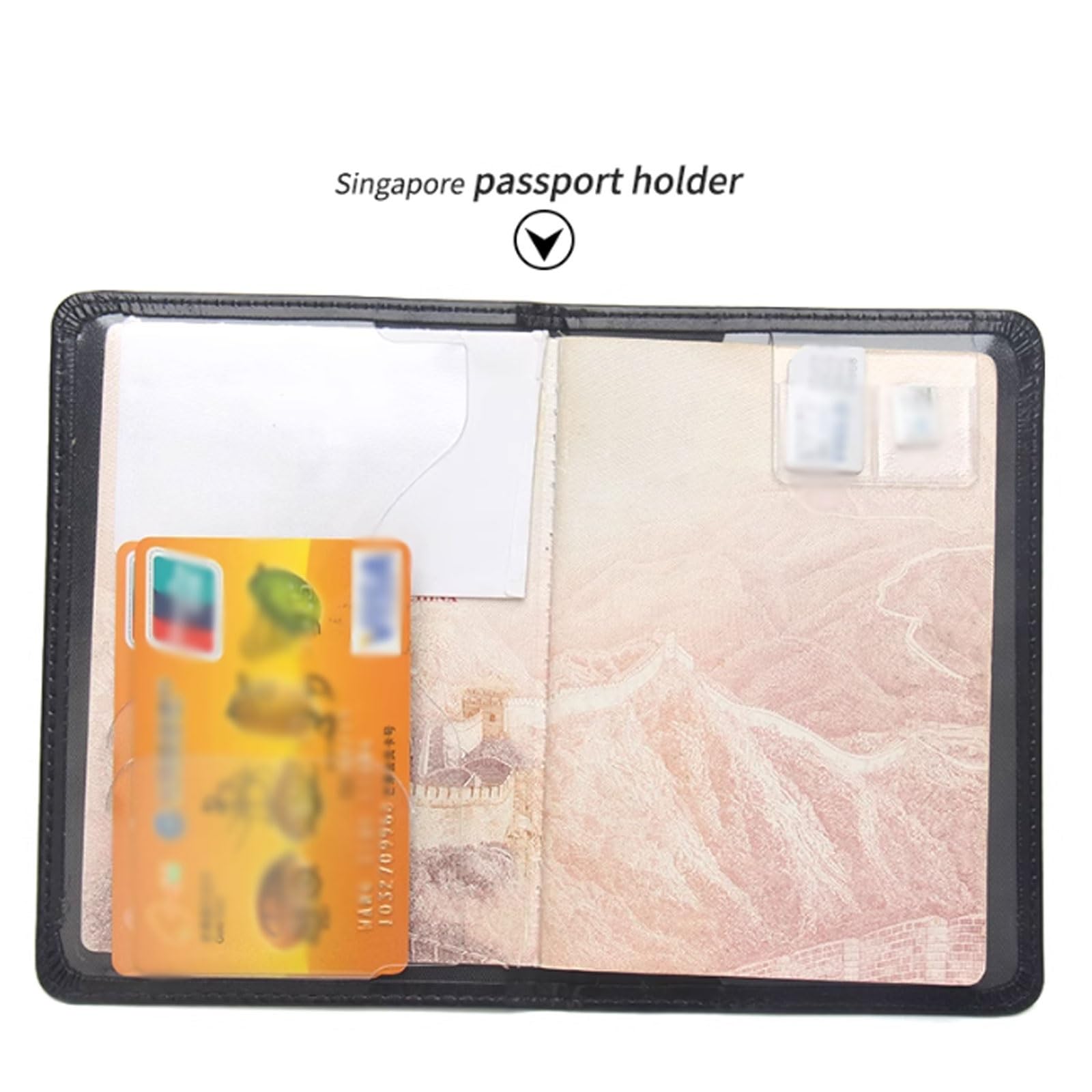Singapore Custodia protettiva per passaporto, unisex, design compatto, nero, One Size, Stile unico