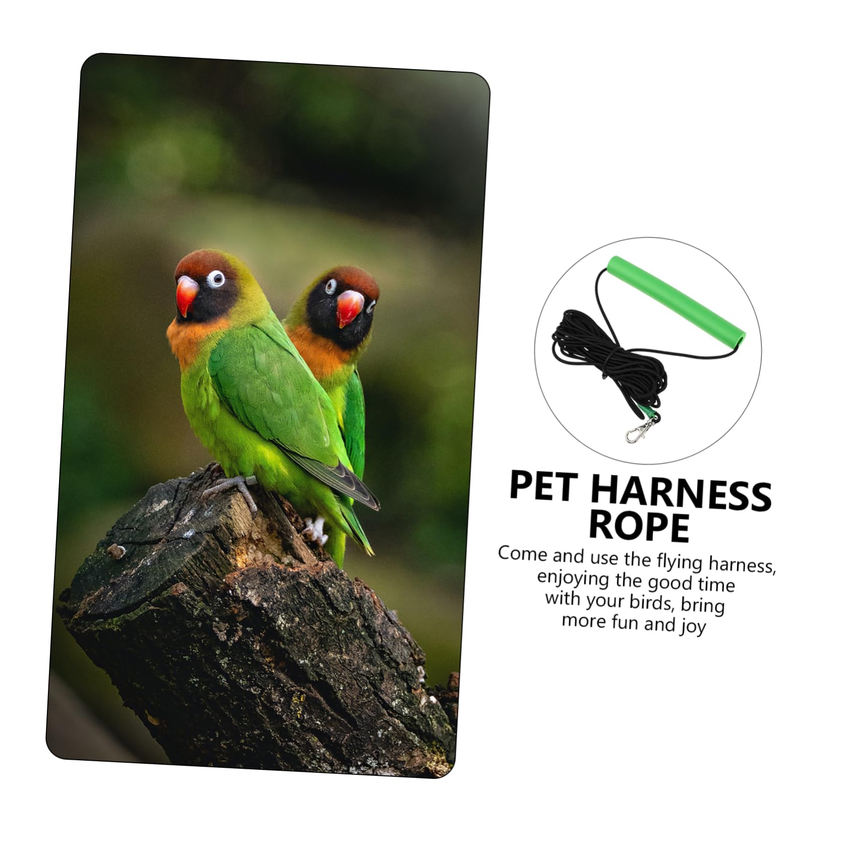 DOITOOL 2piezas Cuerda De Entrenamiento para Pájaros Arnés y Duradero para Periquitos y Cacatúas para Paseos Al Aire y Actividades De Vuelo Material Resistente Mordeduras Metros