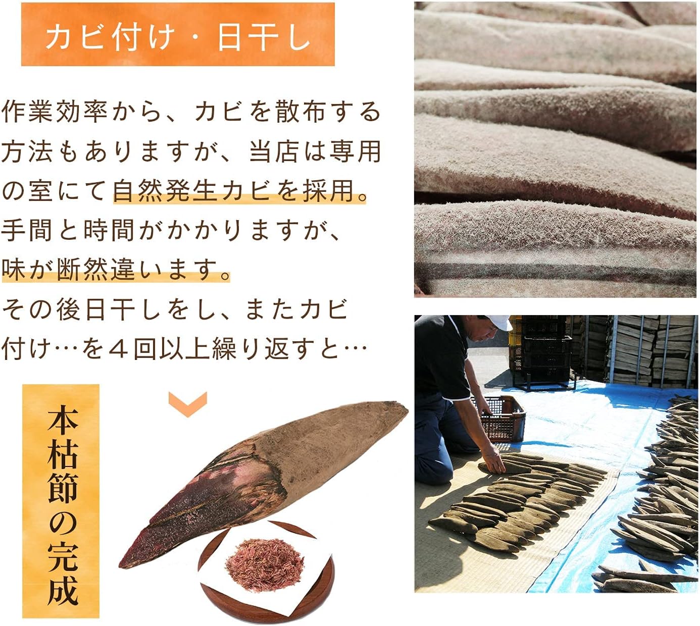 本枯節(ミニ削り器専用) 枕崎産 本かつおぶし 川本屋茶舗 (通常バージョン) 【りんご】