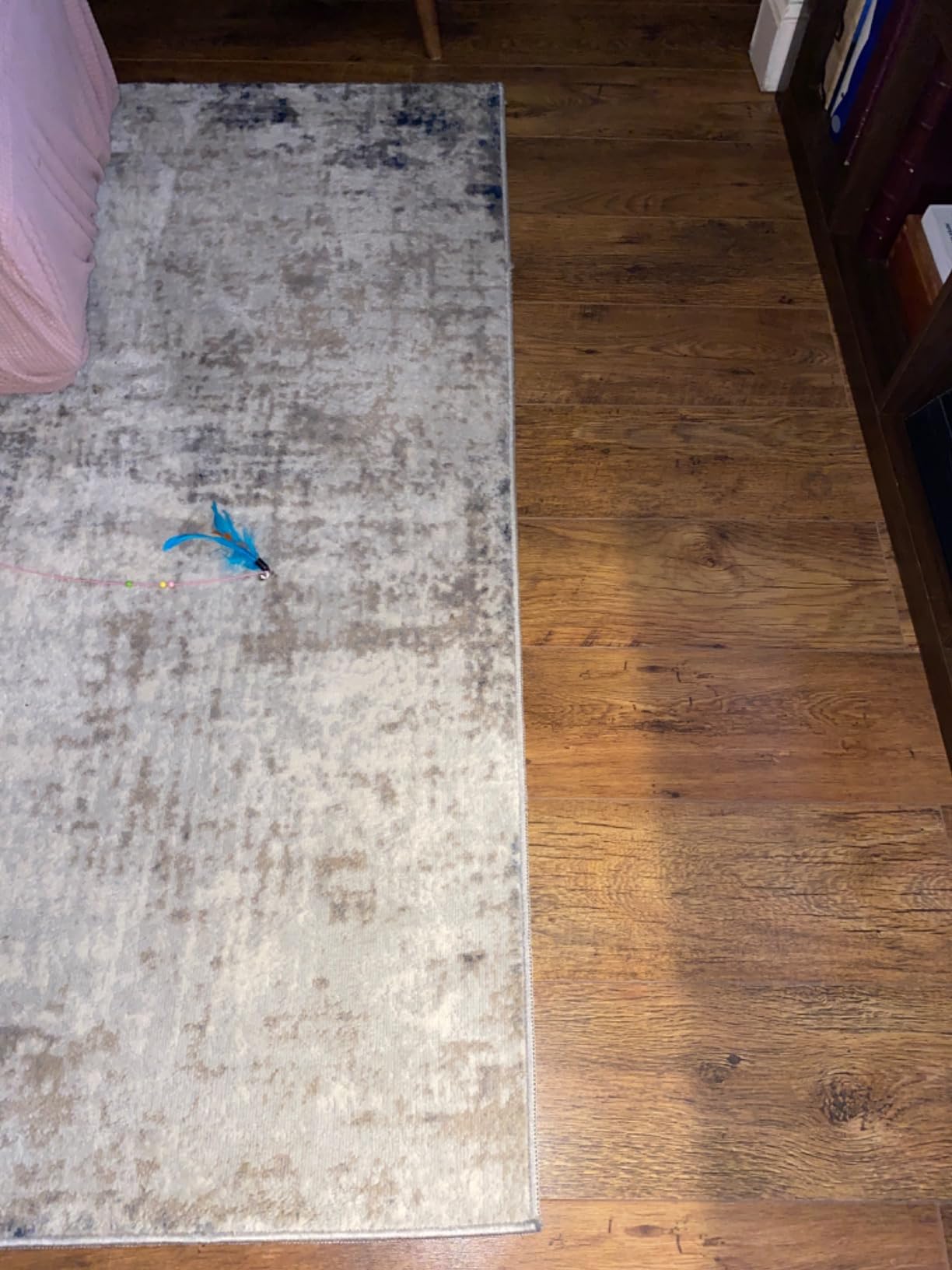 Customer photo