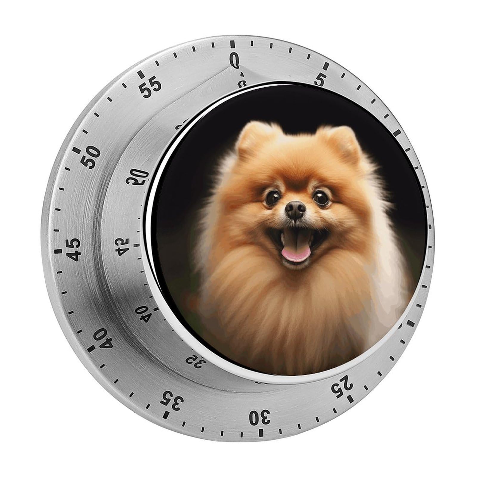 Pomeranian Mechanical Kitchen Timer, Magnetic Stainless Steel Countdown Timer, Loud Alarm Cooking Timer for Baking, Cooking, Fitness, Classroom, No Battery Needed