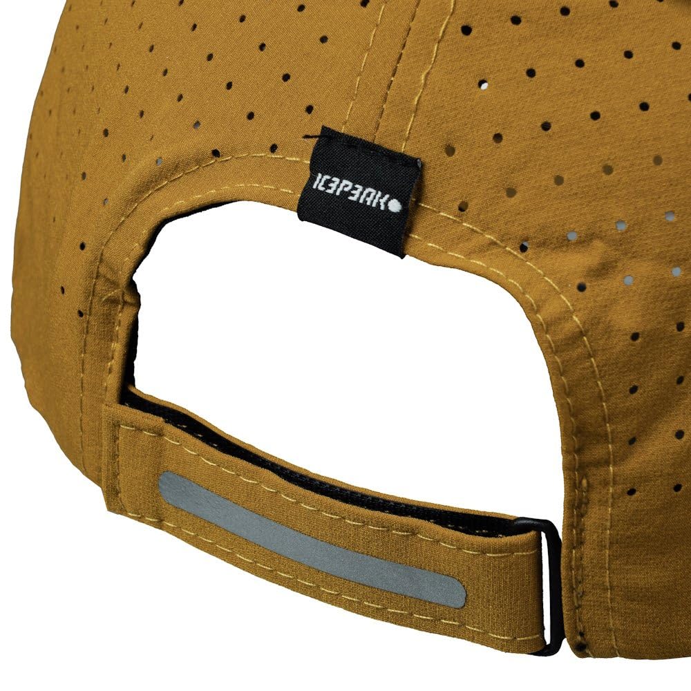 Icepeak Harrell KITT