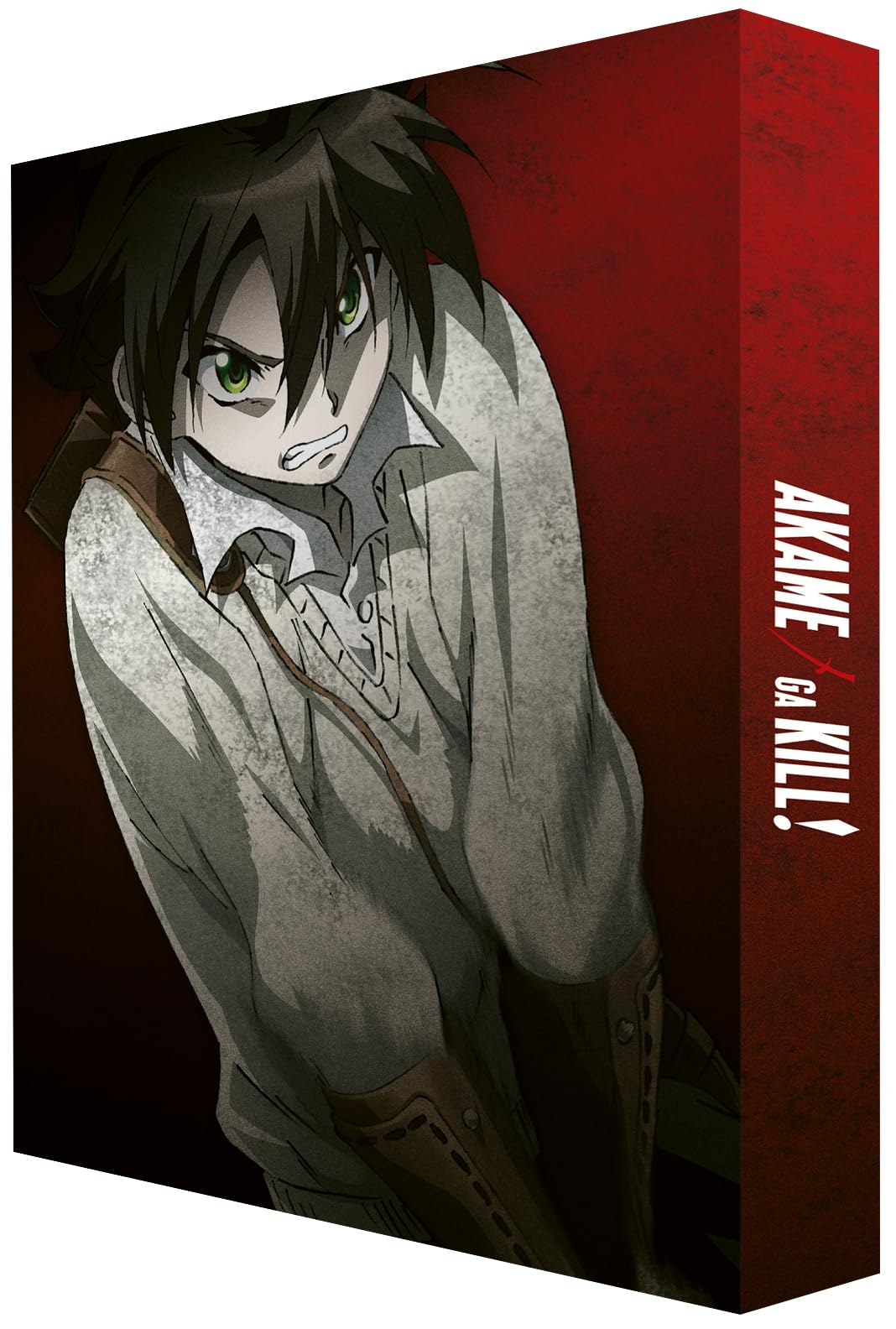 Akame Ga Kill (Limited