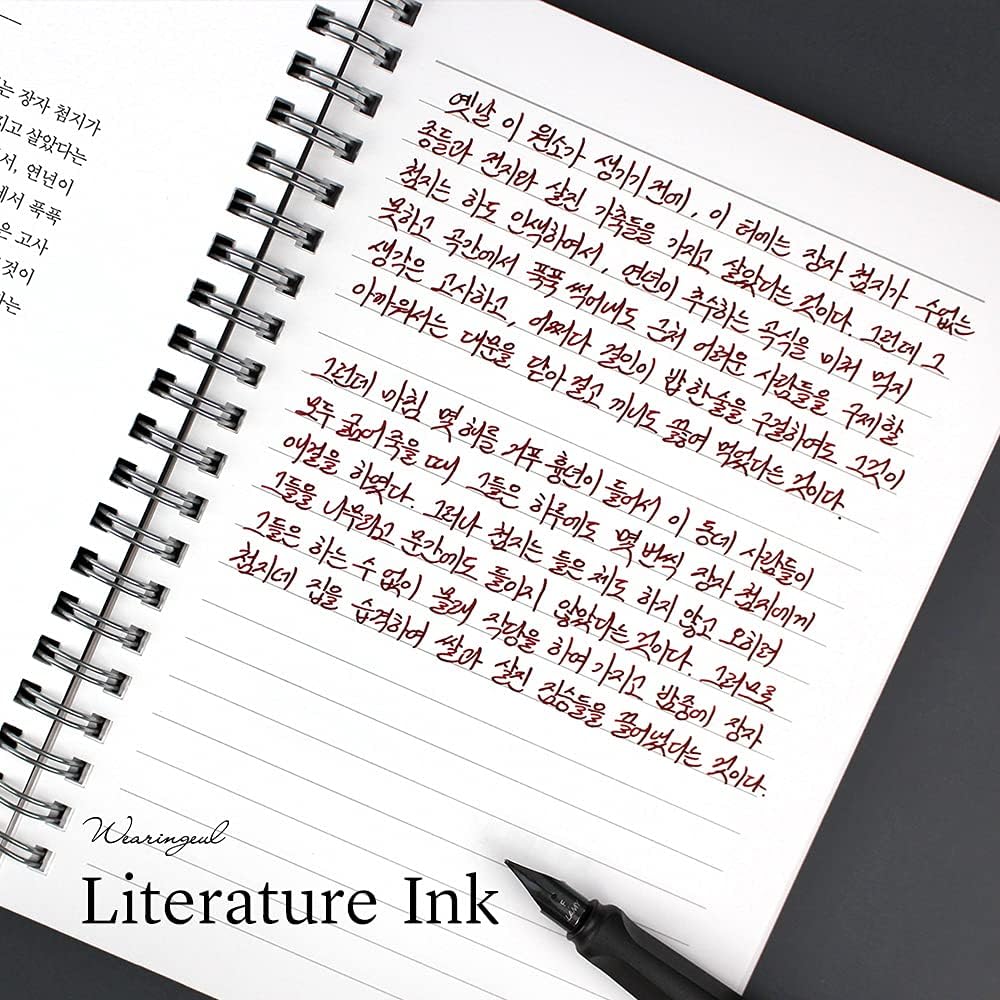 Human Issue_Korean Modern Female Writer Literary Fountain Pen Ink Bottled Ink_Dip Pen Writing Instrument Calligraphy Drawing