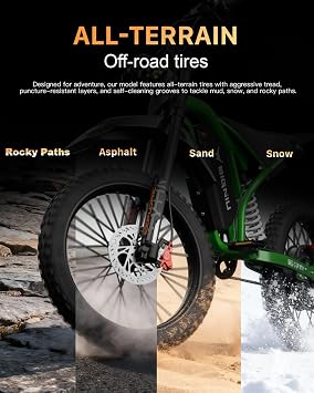 BIGNIU Off-Road Ebike, Electric Dirt Bike Electric Bike for Adults with 5000W Peak Motor, 60V 32Ah Battery, 19x2.1 Fat Tires, Removable Battery, E Bike for Teens, City Riding (Black)