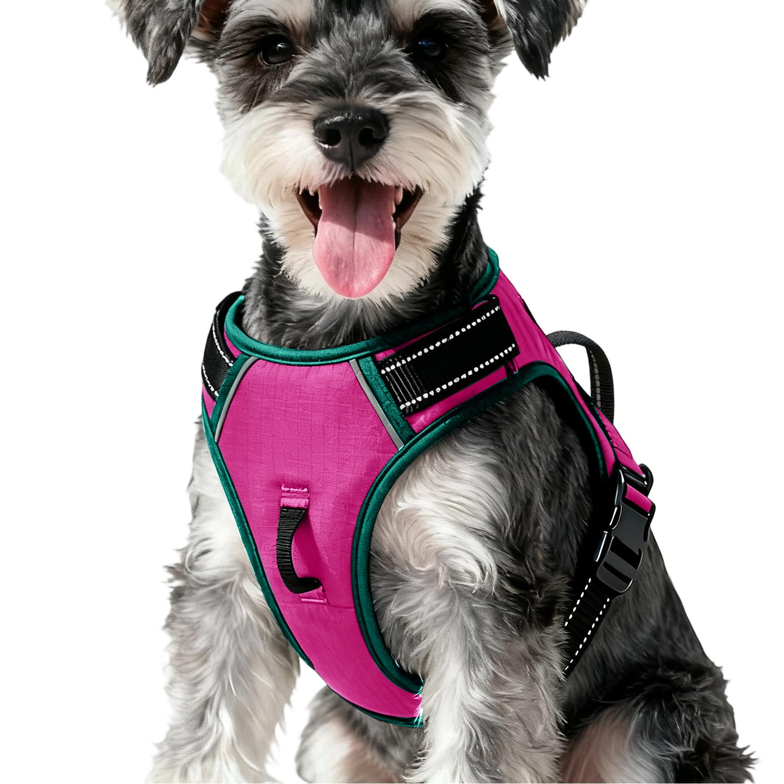 No Pull Dog Harness, No Chock Reflective Adjustable Soft Padded Pet Vest with Easy Control Handle, Easy Wearing with Stylish, Reinforced Knot, 2 Buckles