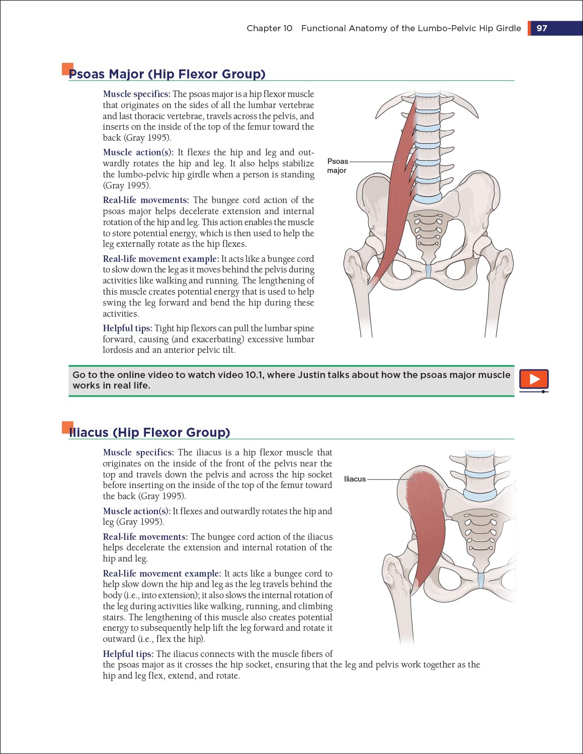 The Biomechanics Method for Corrective Exercise