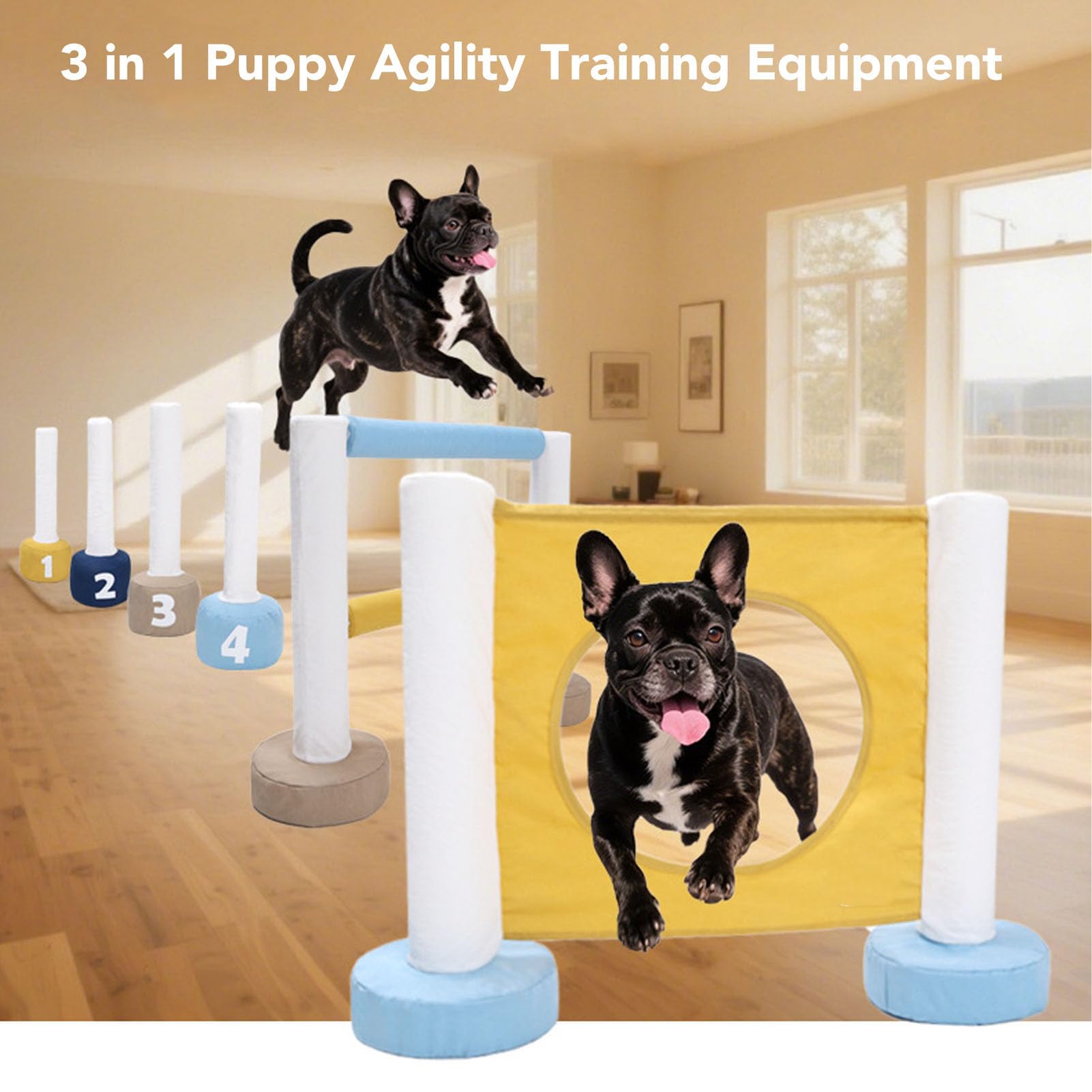 Equipo de Entrenamiento de Agilidad para Cachorros 3 en 1 Que Mejora la Interacción con el Dueño de la Mascota Kit de Ejercicio para Perros para el Desarrollo Físico