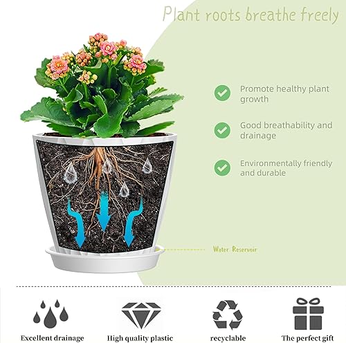 Miniatura 4 de Macetas de 4 pulgadas, paquete de 6 macetas de interior, macetas con agujeros de drenaje y bandejas para orquídeas, violetas, suculentas, hierbas y