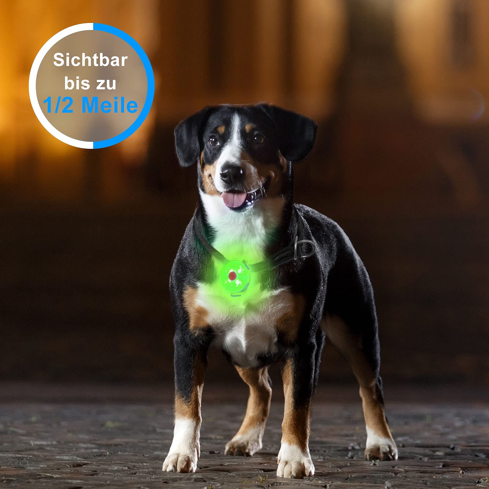 Sicherheits lampa LED z migającym światłem dla psów, kotów, ładowana przez USB, 3 tryby migania, wodoszczelna, bezpieczeństwo dla zwierząt domowych