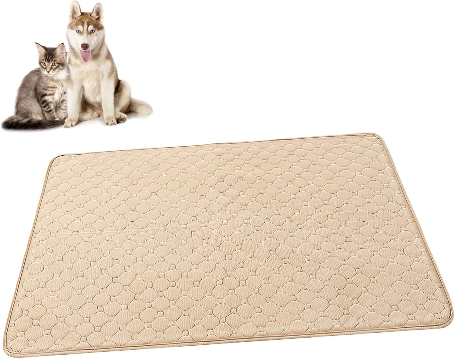 Pet Pads Large Dog Cat Pee Pads Ultra-Absorbent Easy to Clean Non-Slip Pack for Pet Training