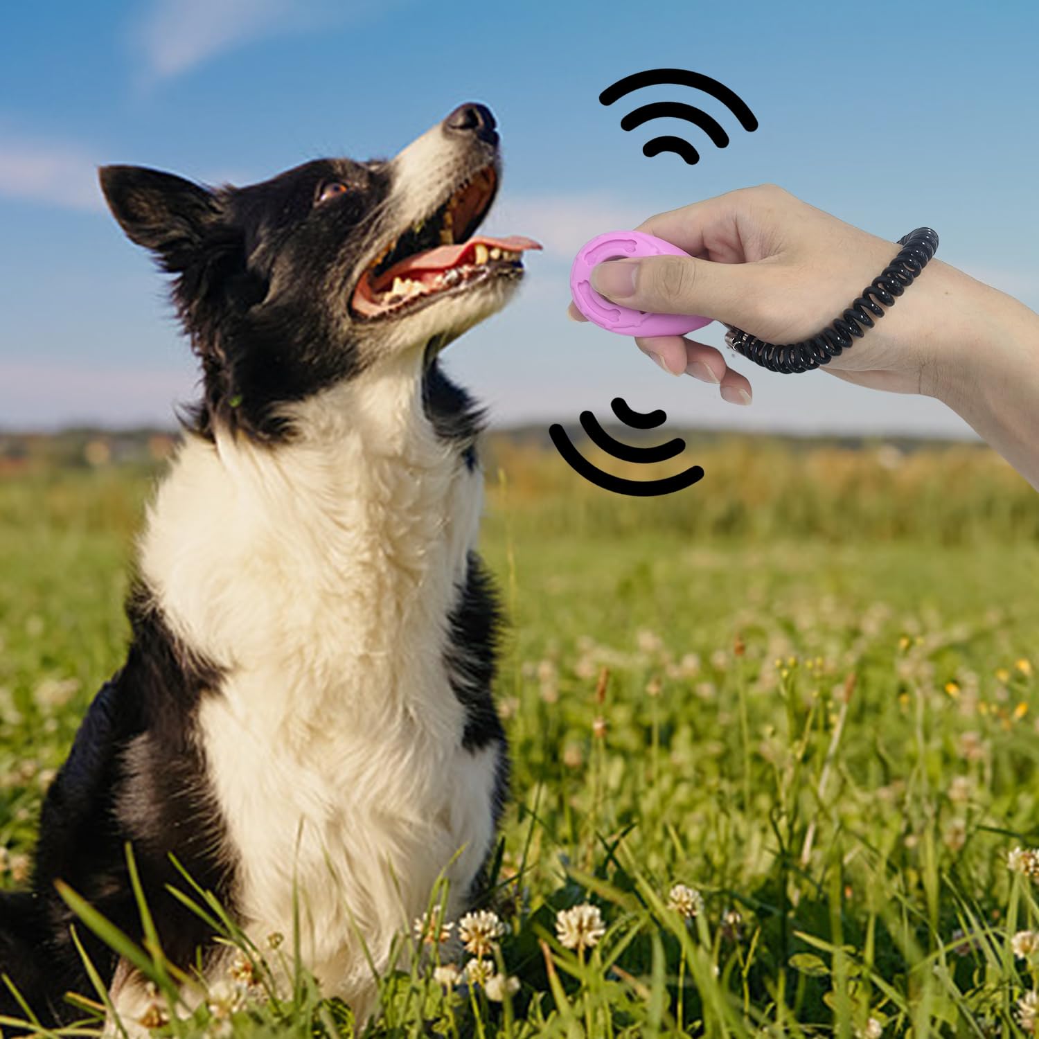 6 Allenatore per Animali Domestici, Strumenti per Gli Aiuti per Addestramento per Cani, Clicker di Addestramento per Cani, Forniture per Animali Domestici (Multicolori).