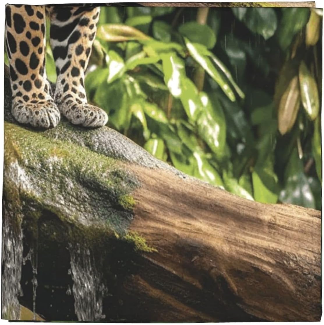 Cooling Bandanas for Men Women Square Hair Scarf 22" x 22" Novelty Headband Jaguar Cat on Tree Trunk Waterfall Neckerchief