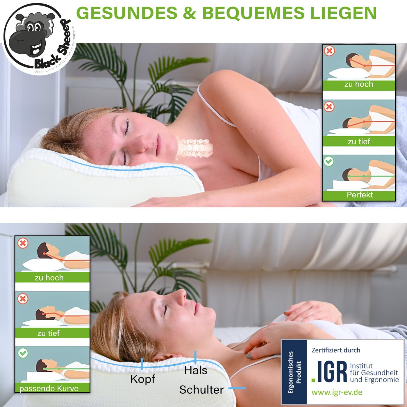 Black Sheeep Orthopädisches Nackenstützkissen mit Memory Foam Made in Germany ergonomisches Kopfkissen inkl. Eukalyptus Kissenbezug für Allergiker und Seitenschläfer