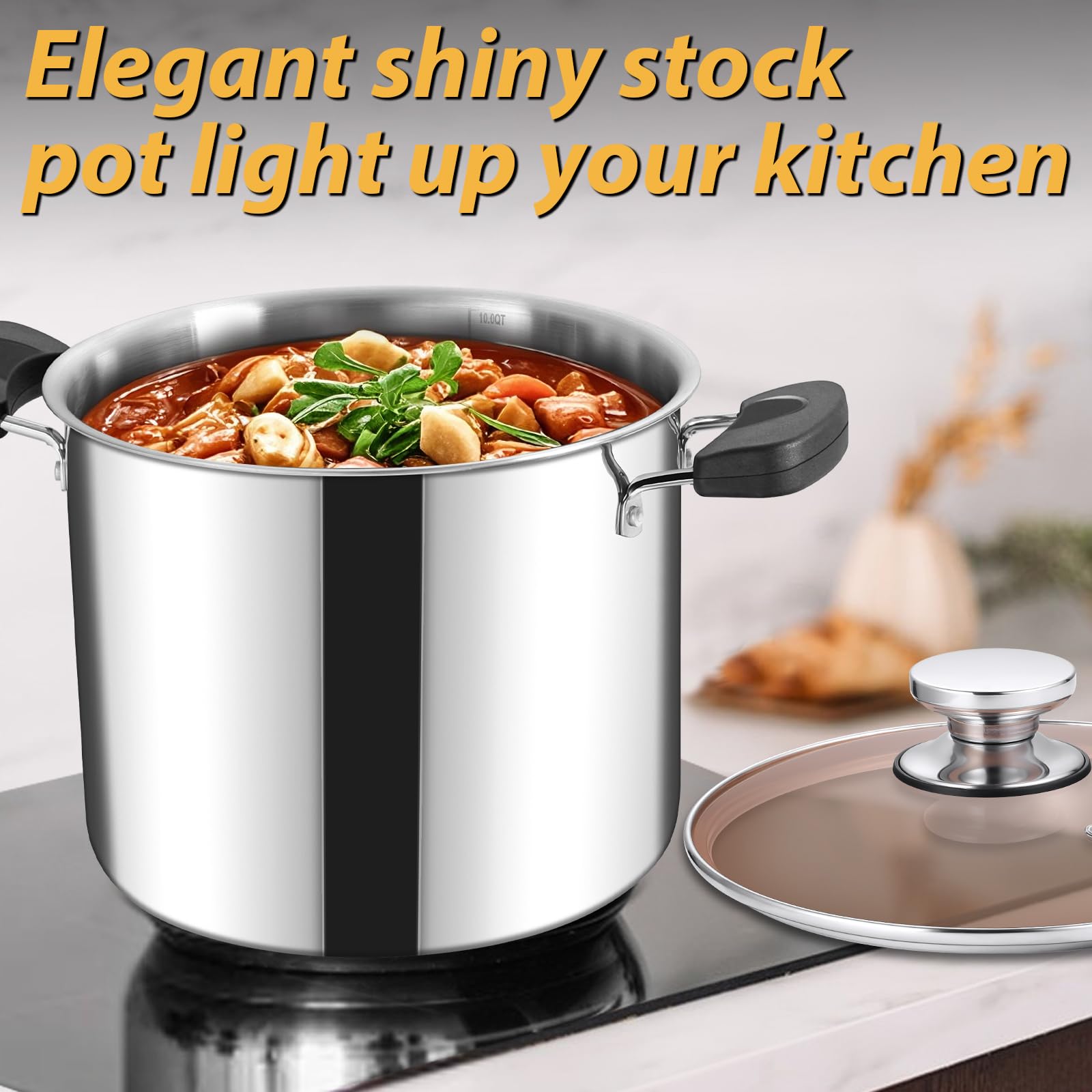 HaWare Olla grande de acero inoxidable de tres capas de 10 L y 25,5 cm para cocinar pasta y sopa de sopa, apta para inducción/electricidad/gas/cerámica, mango resistente al calor y tapa transparente,