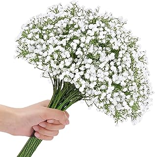20 PCS Artificial Dried Baby’s Breath Flowers