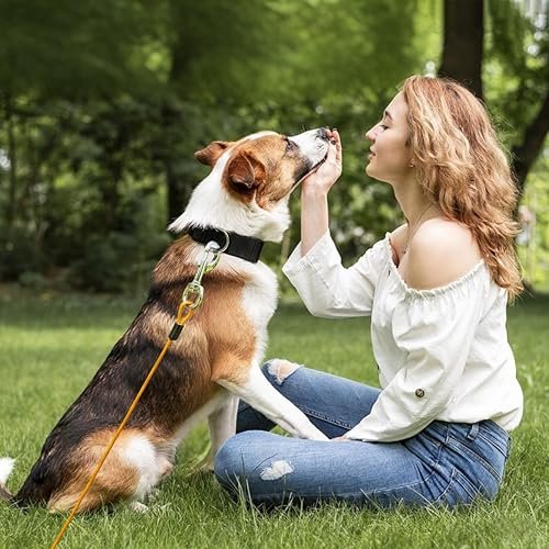 Miniatura 7 de Correa de perro resistente, correa de metal a prueba de mordidas para perros grandes (hasta 250 libras), correas de alambre para perros con agarre