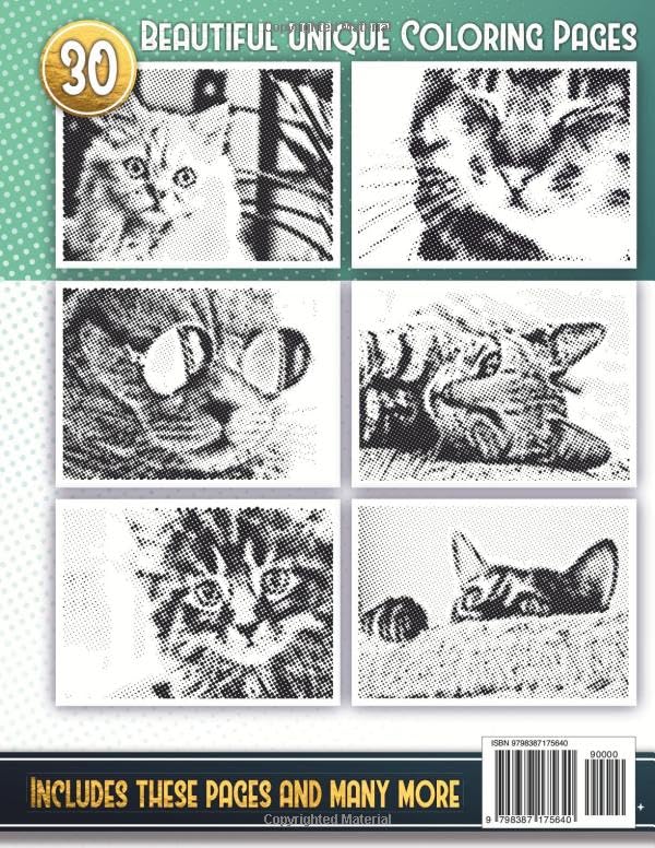 Enchanted Dots: One Color Coloring Book, Cats & Kittens - Relaxation and Stress Relief Colouring Book For Adults and Teens With Blank Dots To Fill In ... Discover Hidden Art on a Therapeutic Journey) image 3