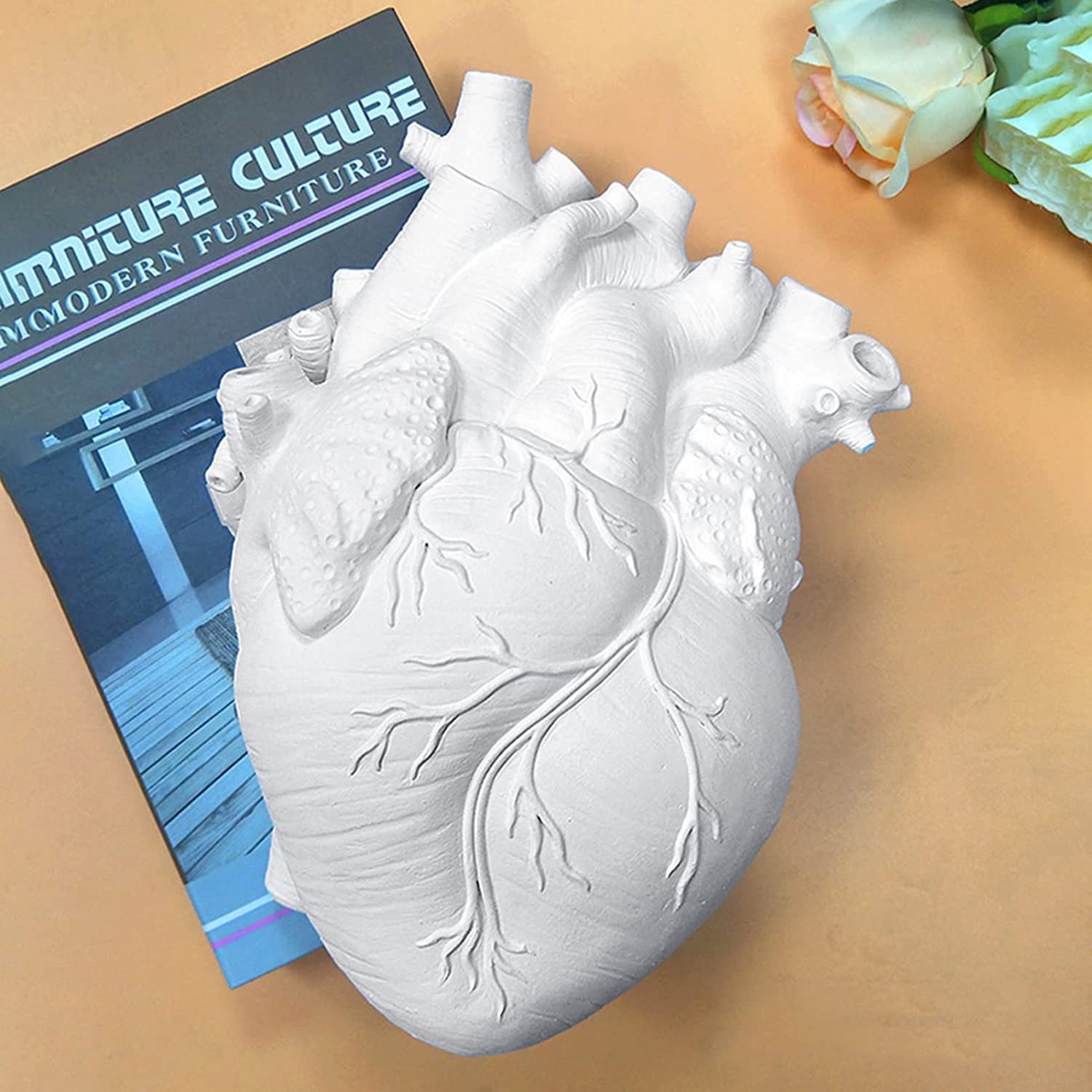 Vaso anatomico a forma di cuore in resina bianca per decorazione moderna della casa, regalo per diverse occasioni