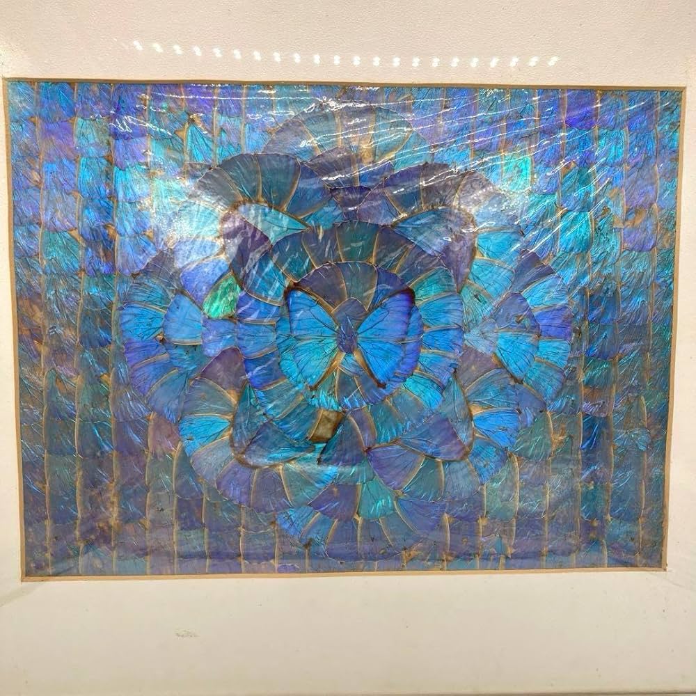 【レア】　モルフォ蝶　アート　標本　芸術　コレクション　海外　美術　絵　昆虫　③ レア】 モルフォ蝶 アート 標本 芸術 コレクション 海外 美術 絵